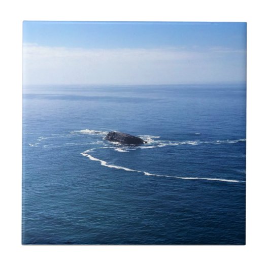 Otter Rock, Cape Foulweather, Newport，オレゴン タイル (正面)