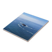 Otter Rock, Cape Foulweather, Newport，オレゴン タイル (側面)