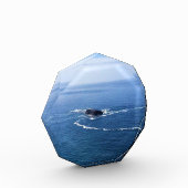 Otter Rock, Cape Foulweather, Newport，オレゴン フォトブロック (左)