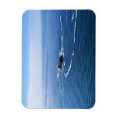 Otter Rock, Cape Foulweather, Newport，オレゴン マグネット (縦)