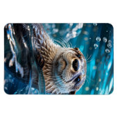 Otter Swimming マグネット (横)