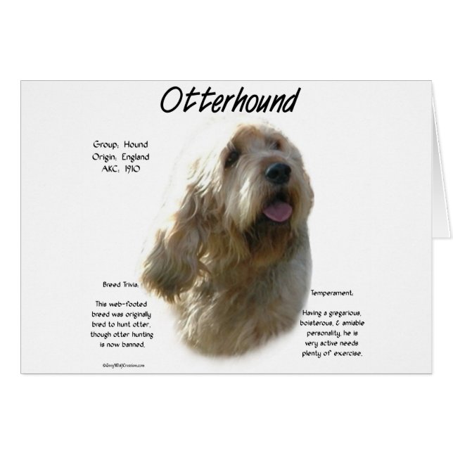 Otterhound Historyデザイン (正面横)