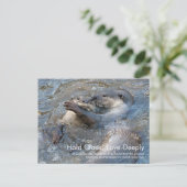 Otterly love Postcard ポストカード (スタンド正面)