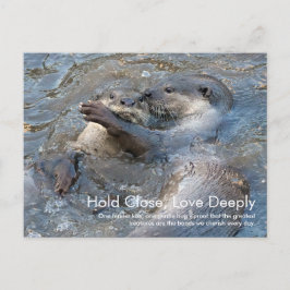 Otterly love Postcard ポストカード