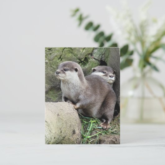 OTTERS招待状 (スタンド正面)