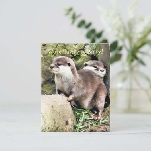 OTTERS招待状 (スタンド正面)