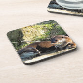 OTTERS コースター (左側)