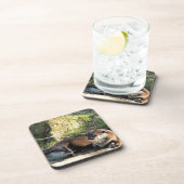 OTTERS コースター (右側)