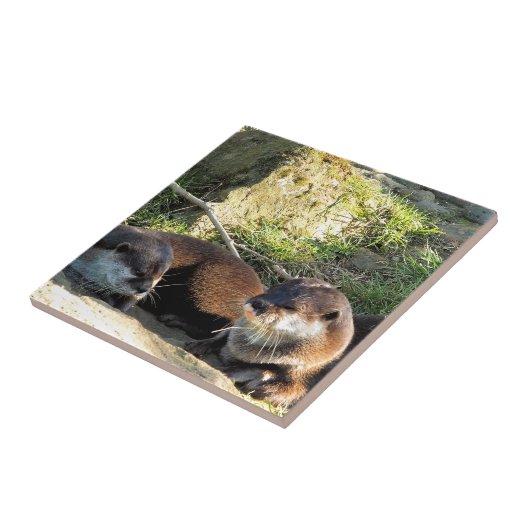 OTTERS タイル (側面)