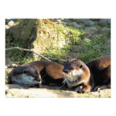 OTTERS フォトプリント            (正面)