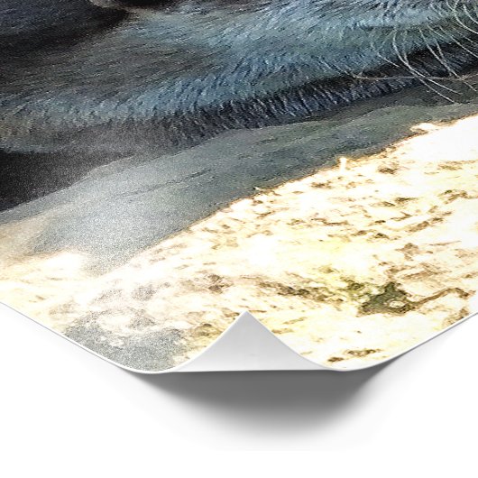 OTTERS フォトプリント            (角)