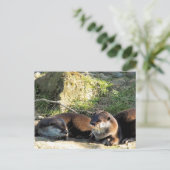 OTTERS ポストカード (スタンド正面)