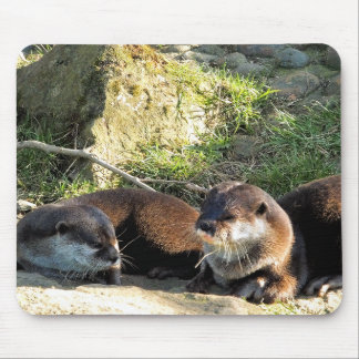 OTTERS マウスパッド
