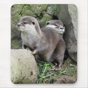 OTTERS マウスパッド