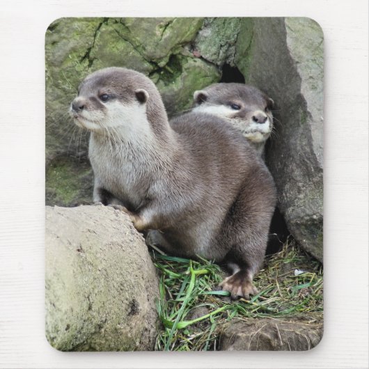 OTTERS マウスパッド (正面)