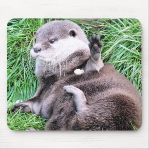 OTTERS マウスパッド