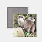 OTTERS マグネット (正面/裏面)