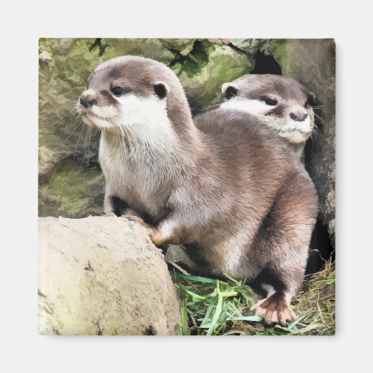 OTTERS マグネット (正面)