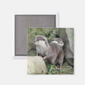 OTTERS マグネット (正面/裏面)