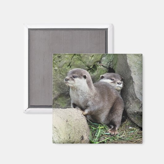 OTTERS マグネット (正面/裏面)
