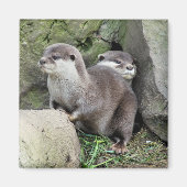 OTTERS マグネット (正面)