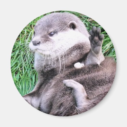 OTTERS マグネット (正面)