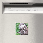 OTTERS マグネット (インサイチュ (食洗機))