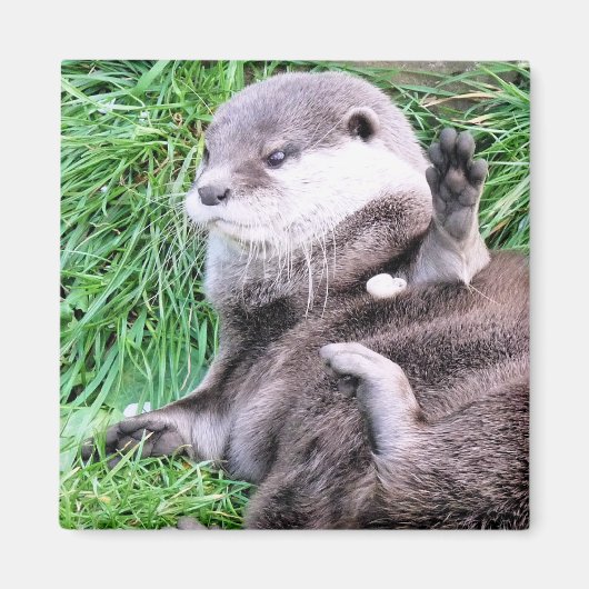 OTTERS マグネット (正面)