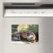 OTTERS マグネット (インサイチュ (食洗機))