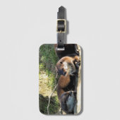 OTTERS ラゲッジタグ (正面縦)