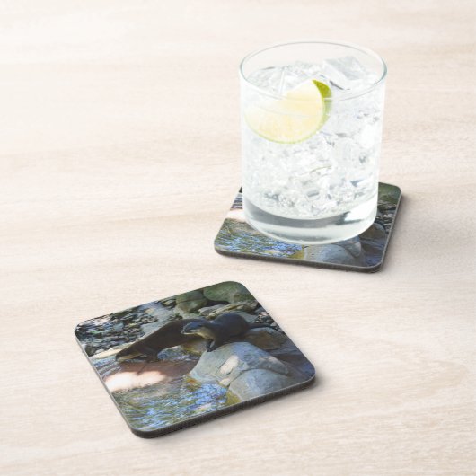Otters Drink、Coasters コースター (右側)