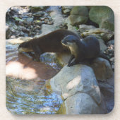 Otters Drink、Coasters コースター (正面)