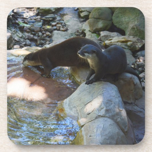 Otters Drink、Coasters コースター (正面)