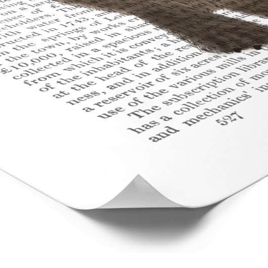 Otters Holding Hands ポスター (角)