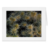 "Ouch集り" (正面横)