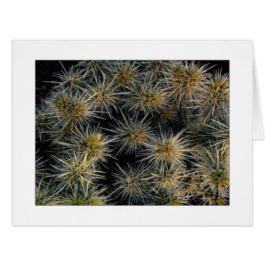 "Ouch集り" (正面横)