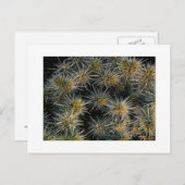 「Ouch Cluster」 ポストカード (正面/裏面)