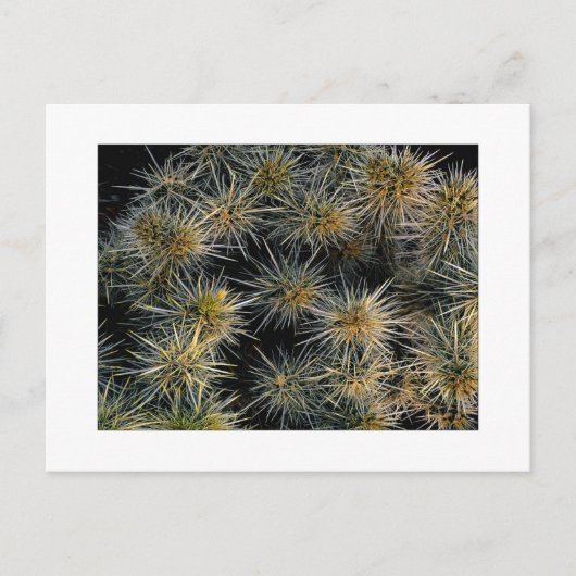 「Ouch Cluster」 ポストカード (正面)