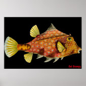 Oul Grumpyポスター ポスター (正面)