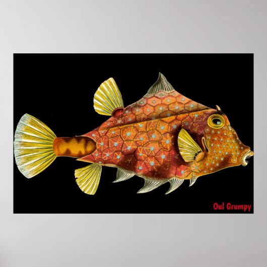 Oul Grumpyポスター ポスター (正面)
