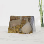 「OUR」誕生日 カード (正面)