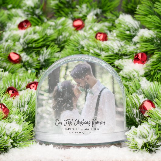 Our First Christmas Married and Merry Photos (クリスマス)