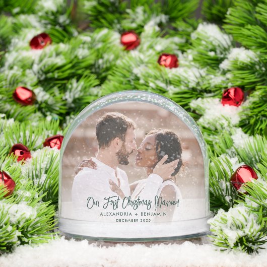 Our First Christmas Married Wedding Photos Script (クリスマス)