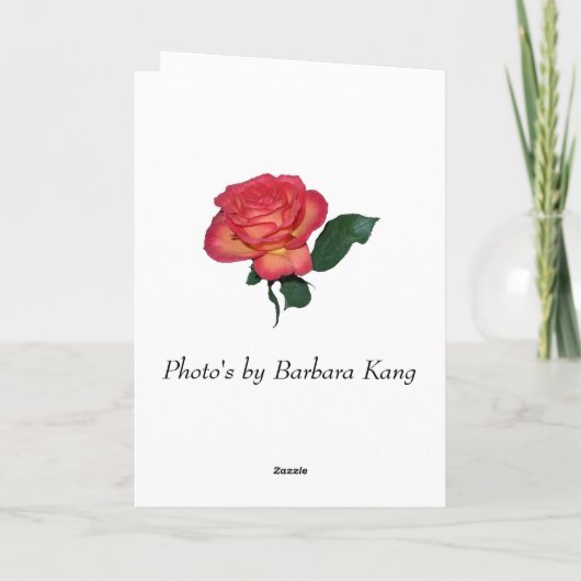 Our Friendship Greeting Card カード (裏面)