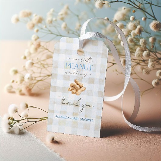 Our Little Peanut Boy Blue Gingham Baby Shower ギフトタグ