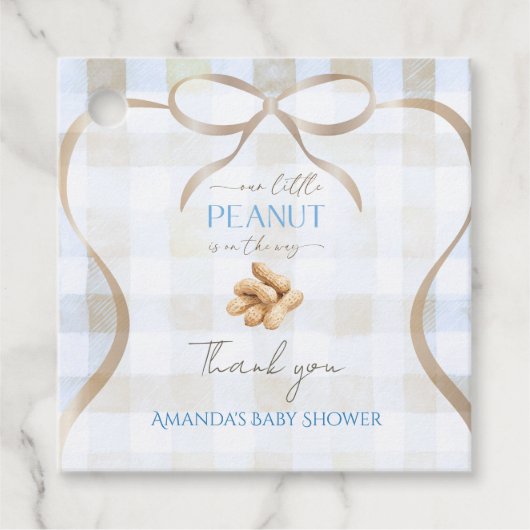 Our Little Peanut Boy Blue Gingham Baby Shower フェイバータグ (正面)