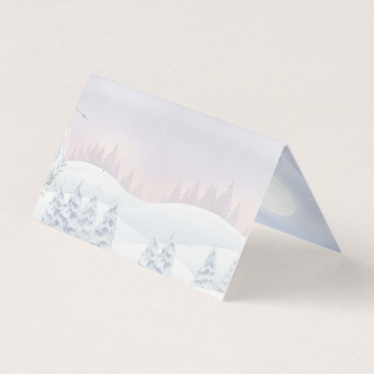 Our Little Snowbaby is on the way Seating Name (裏面)