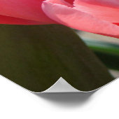 Our Nursing Assistants art prints Caring Healing ポスター (角)