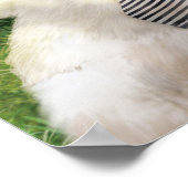 Our Times ポスター (角)