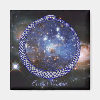 Ouroboros銀河系 – マグネット#1 マグネット